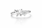 The Silver Butterfly and Floral Ring