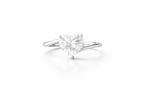 The Sweeping Love Promise Ring