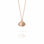 The Vega Ocean Pearl Shell Necklace