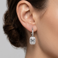 Luxe Crystal Rectangle 92.5 Silver EARING